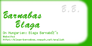 barnabas blaga business card